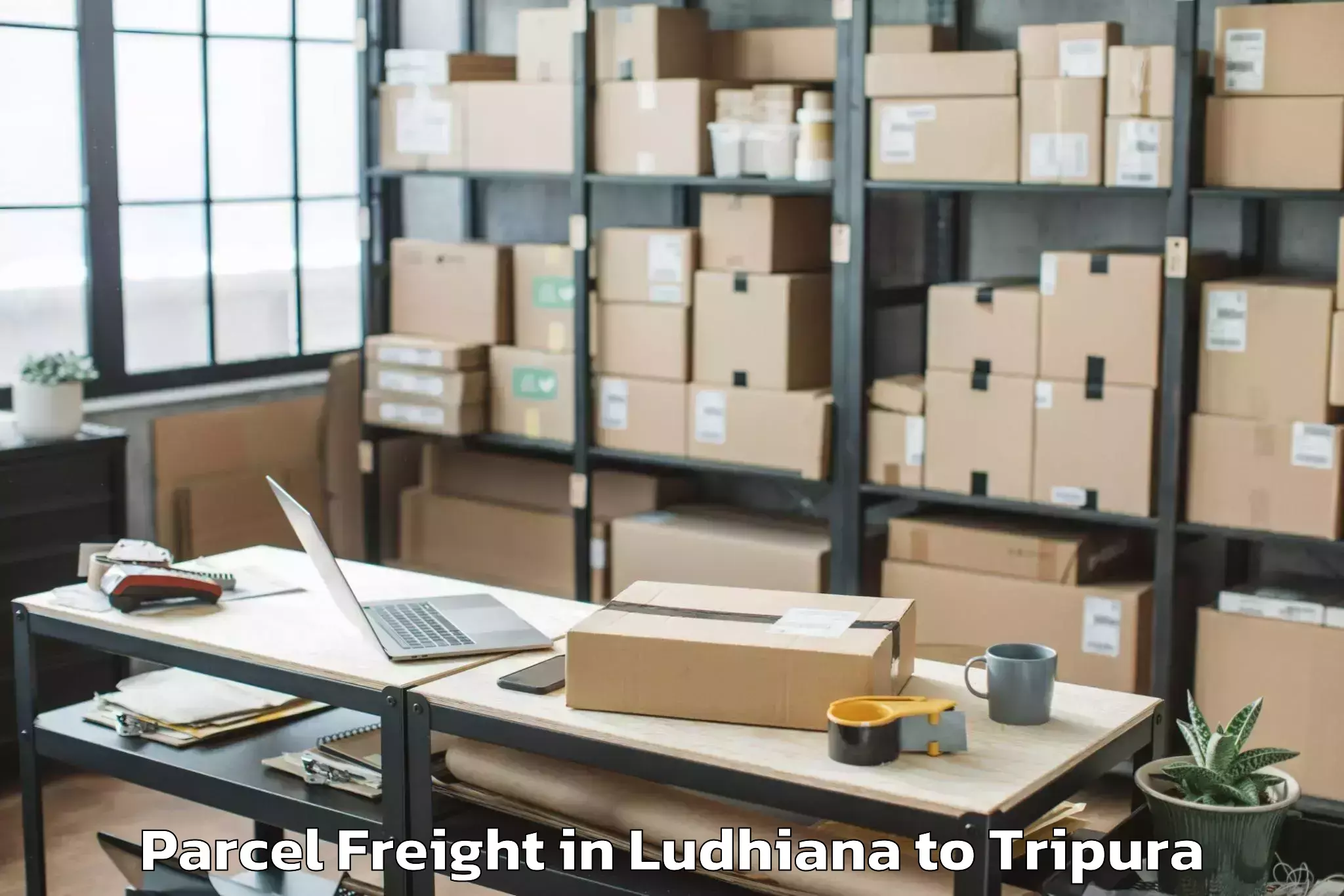 Trusted Ludhiana to Teliamura Parcel Freight